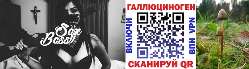 Псилоцибиновые грибы Cubensis  Шагонар 